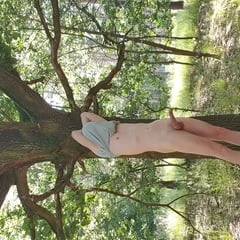 Under the oak