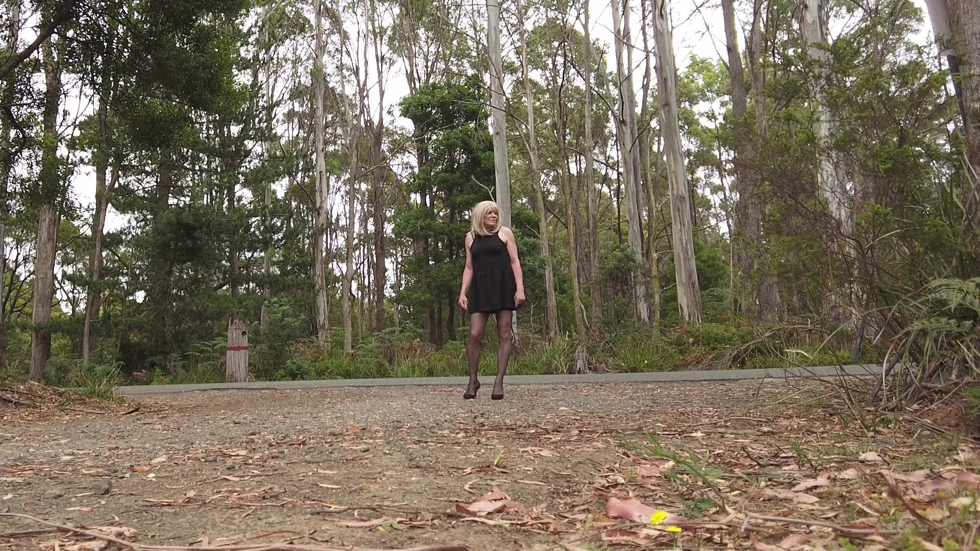 Crossdress Roadtrip - Forest Road Pantie Drop #4