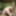  Uwe nackt in der Natur  #12