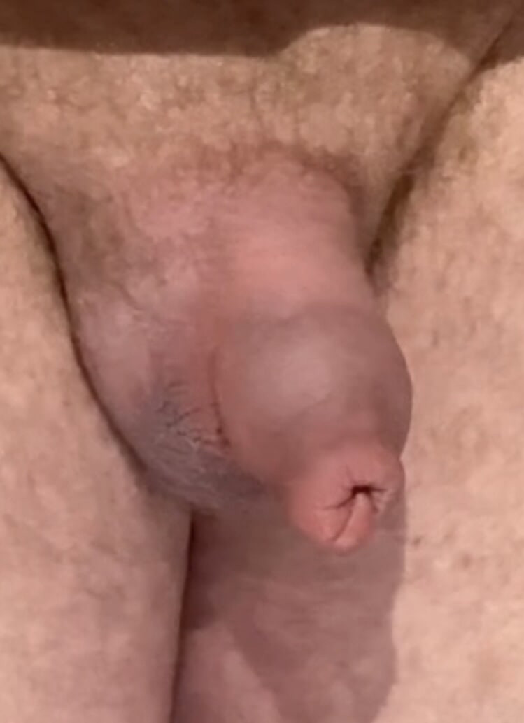 Several pics of my uncut cock #23