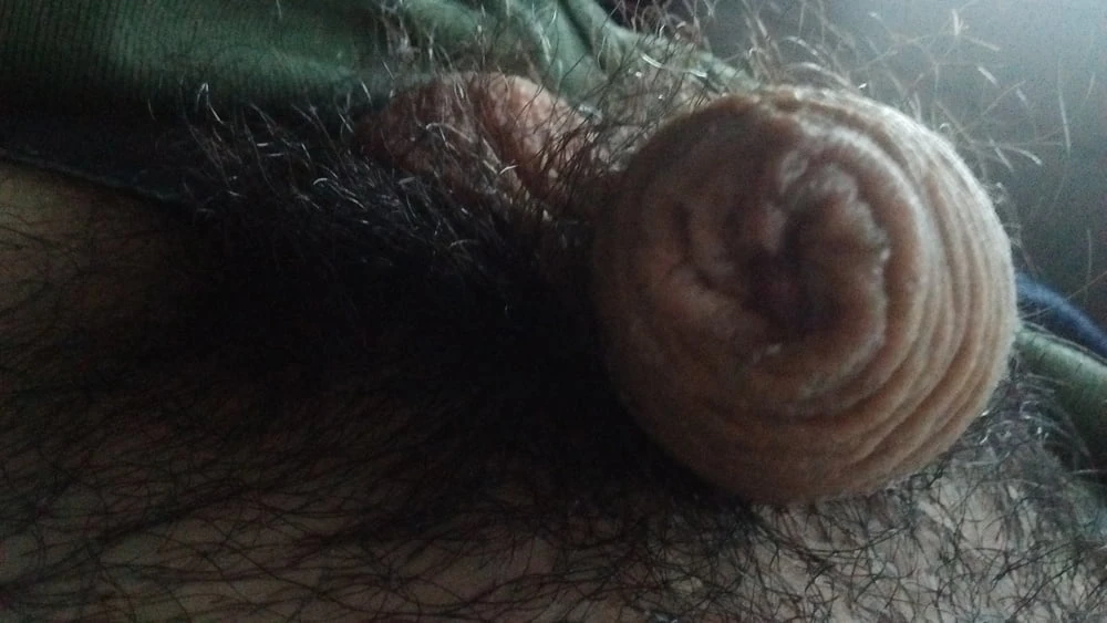 New pics my cock, ass #7