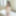 Reina Shiraishi :: Fall In Love - CARIBBEANCOM #30