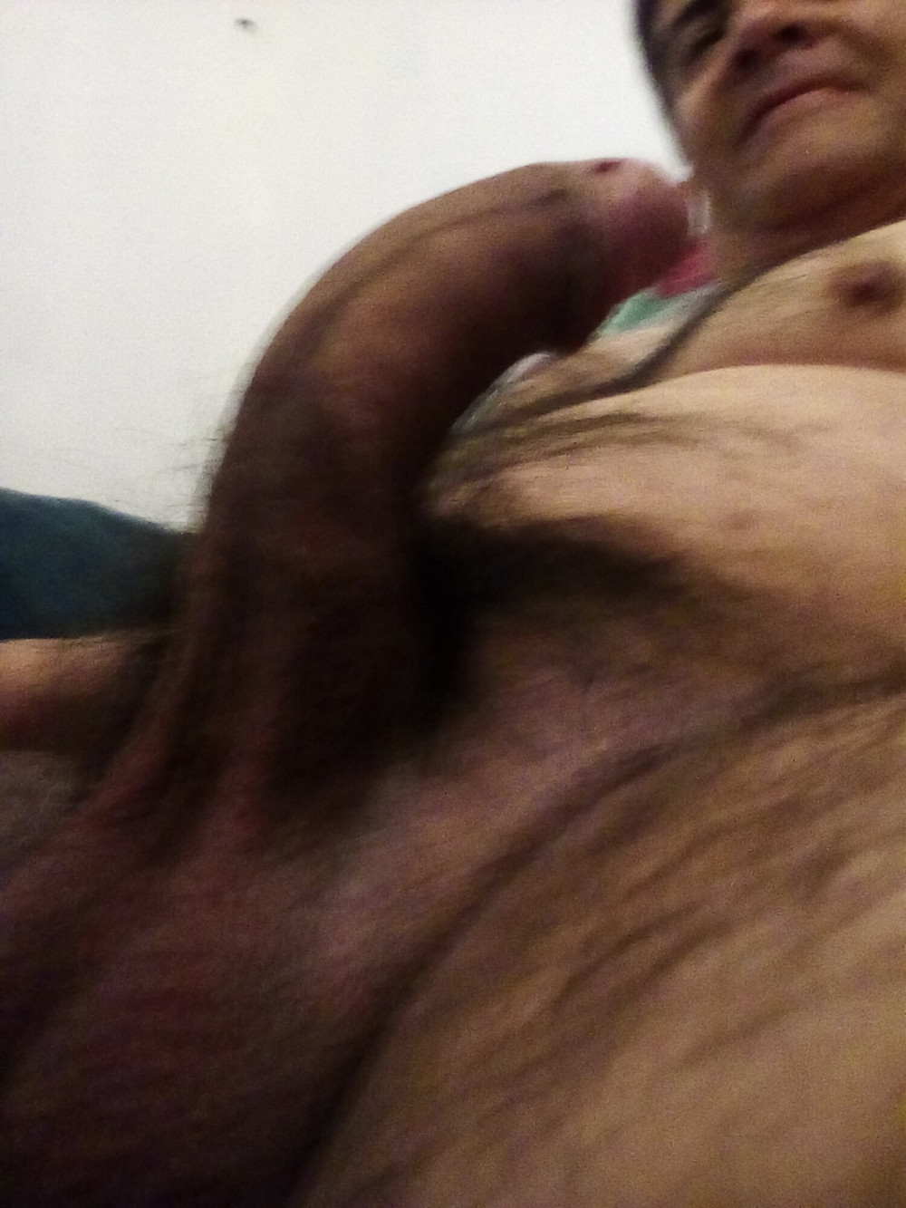 StallionXXX #9