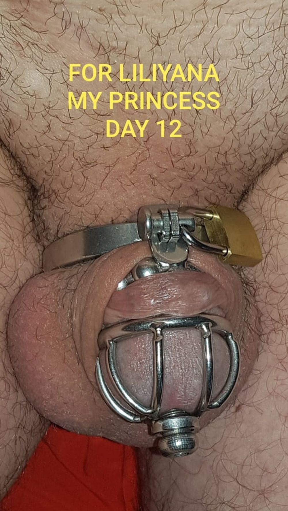 Chastity cage for Liliyana #12