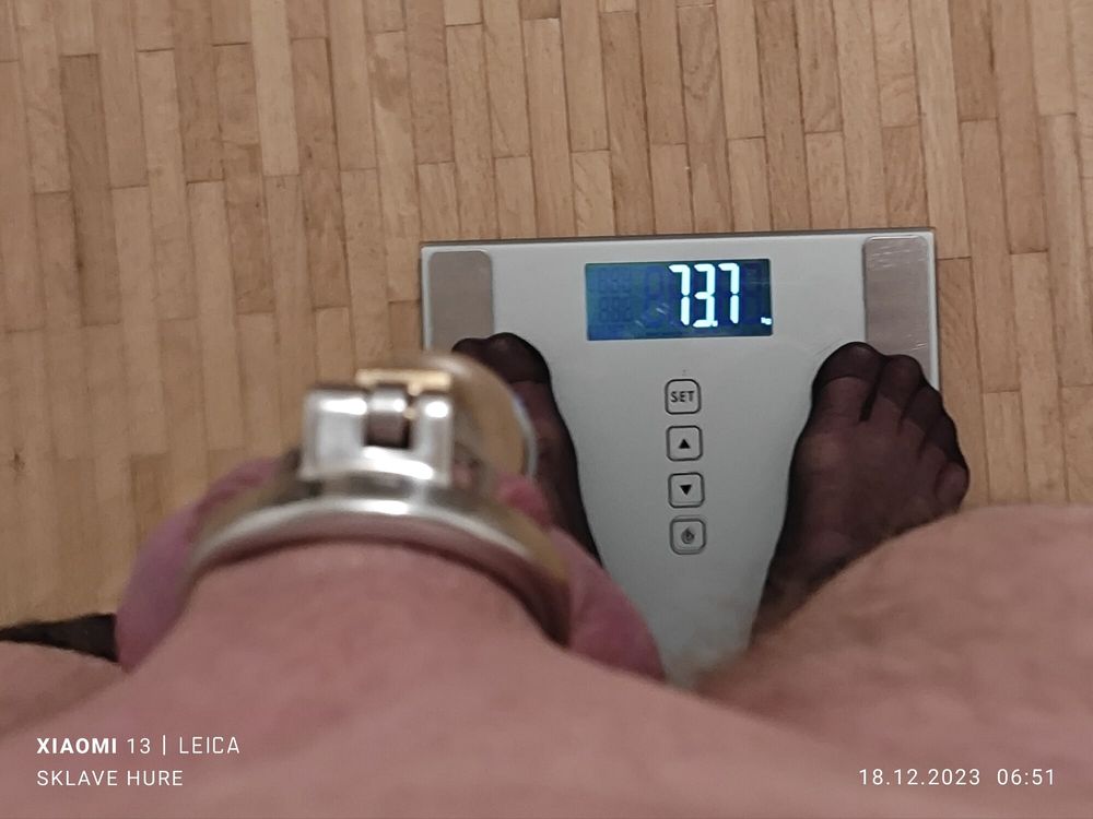 Mandatory weighing cagecheck plugcheck December 18, 2023 #38