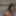 Alexa Ücretsiz Fotoğraflar