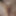 Pussy pics