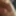 Gripshroom Cock pics