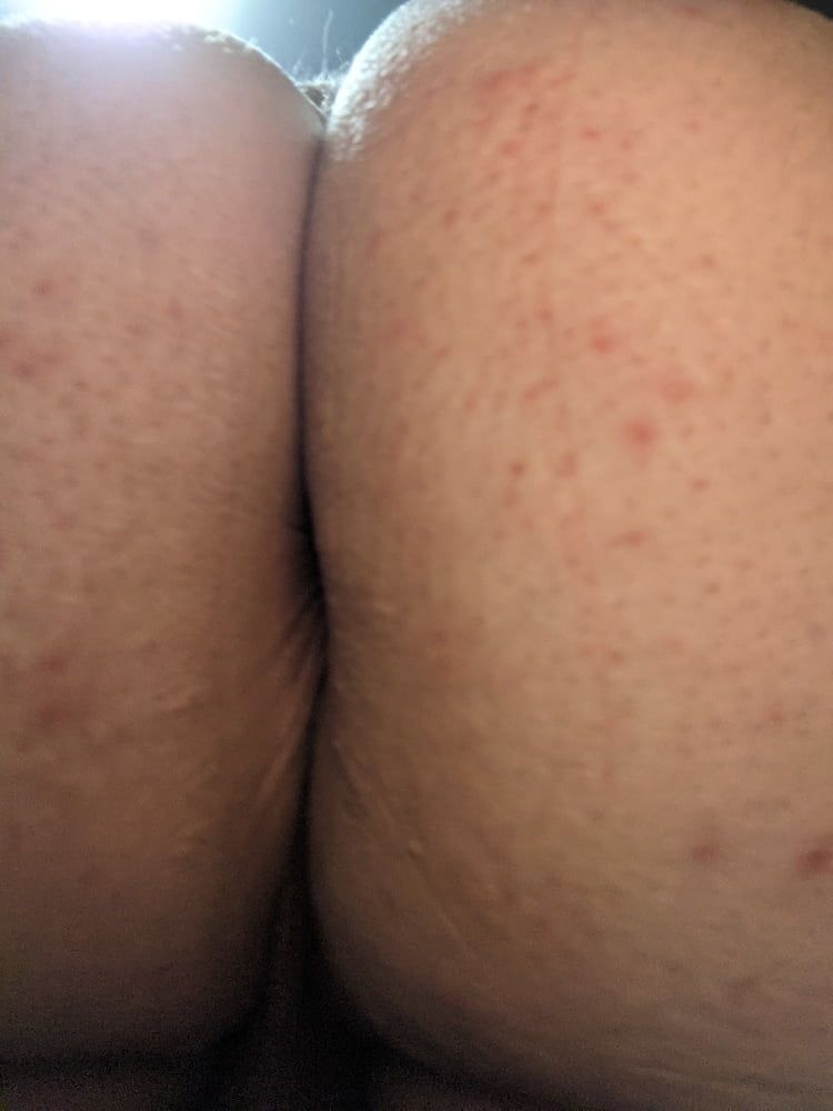 Ass Pictures #3 60 Pictures of beeing your fucktoy #8