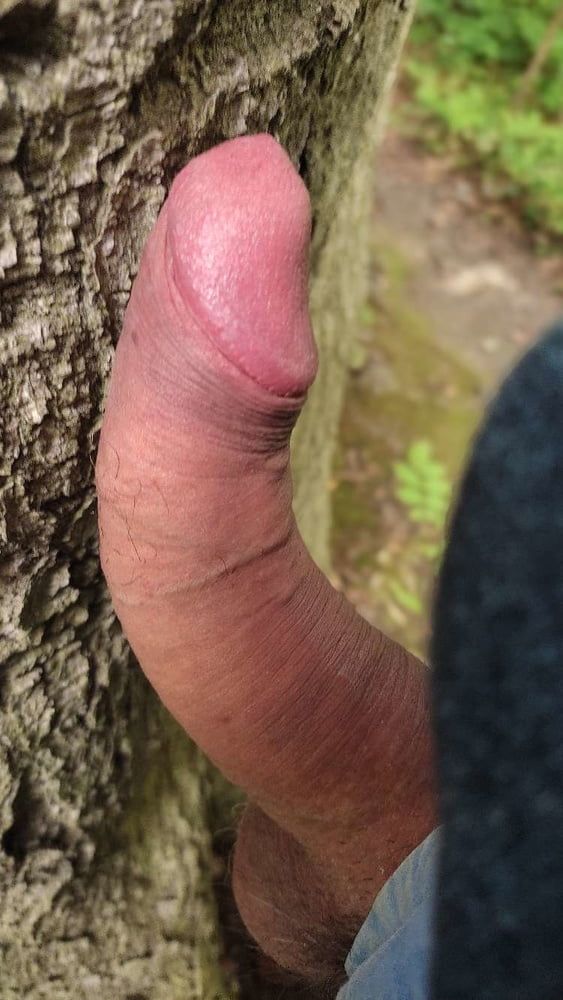 Kissing the tree with my dick