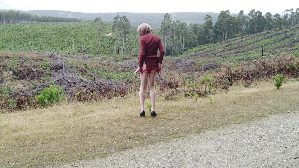 Crossdress Roadtrip - Roadside Forest Clearing #3
