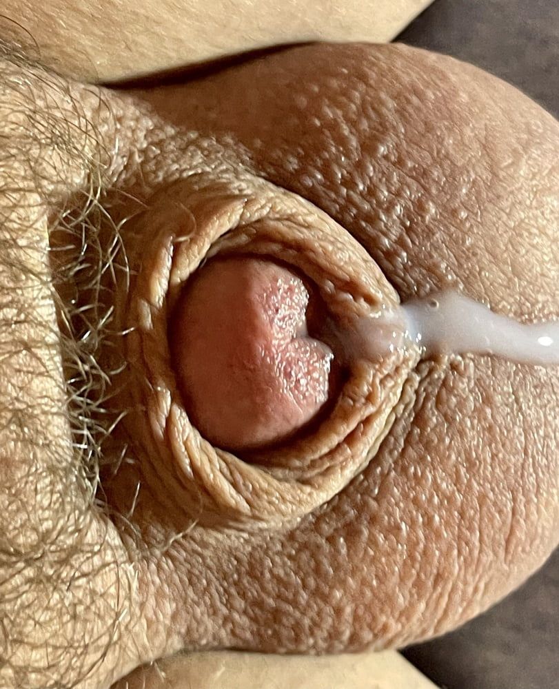 Tiny penis, micro, cock, inverted cock photos