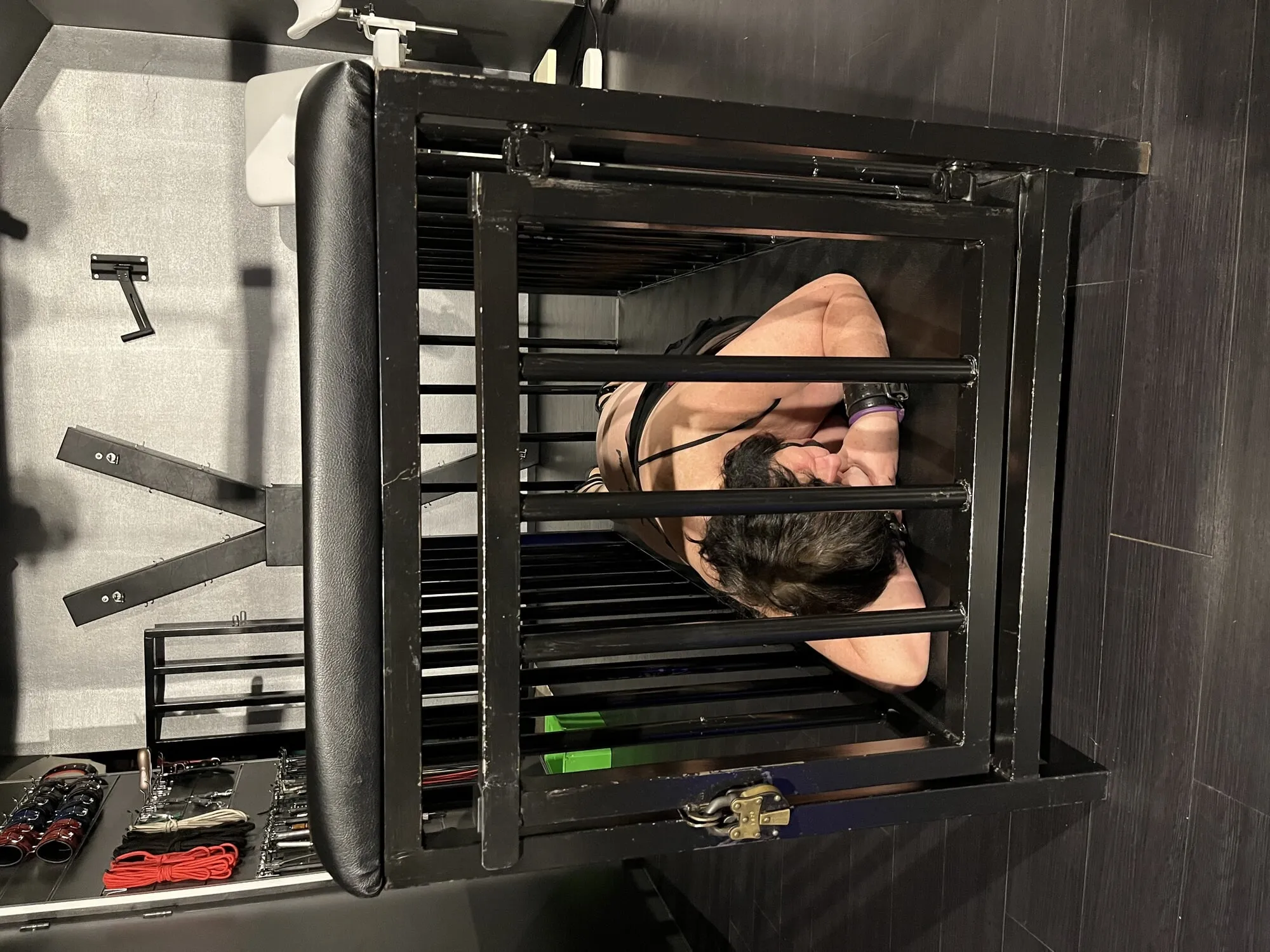 Master put vitgun123 in cage 