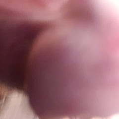 Cock