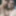 Me and my horny wife jiya .have some fun time photos 