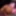 4k Step Family Fauxcest! My Step Daughter Eagerly Rough Ride