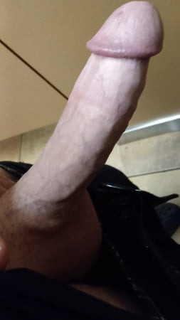 Bored &amp; hard at work 