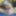 FAST FUCK IN THE MORNING - DOUBLE ORGASM #37