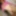 MarieRocks 50+ Revealing Huge Natural Tits #15