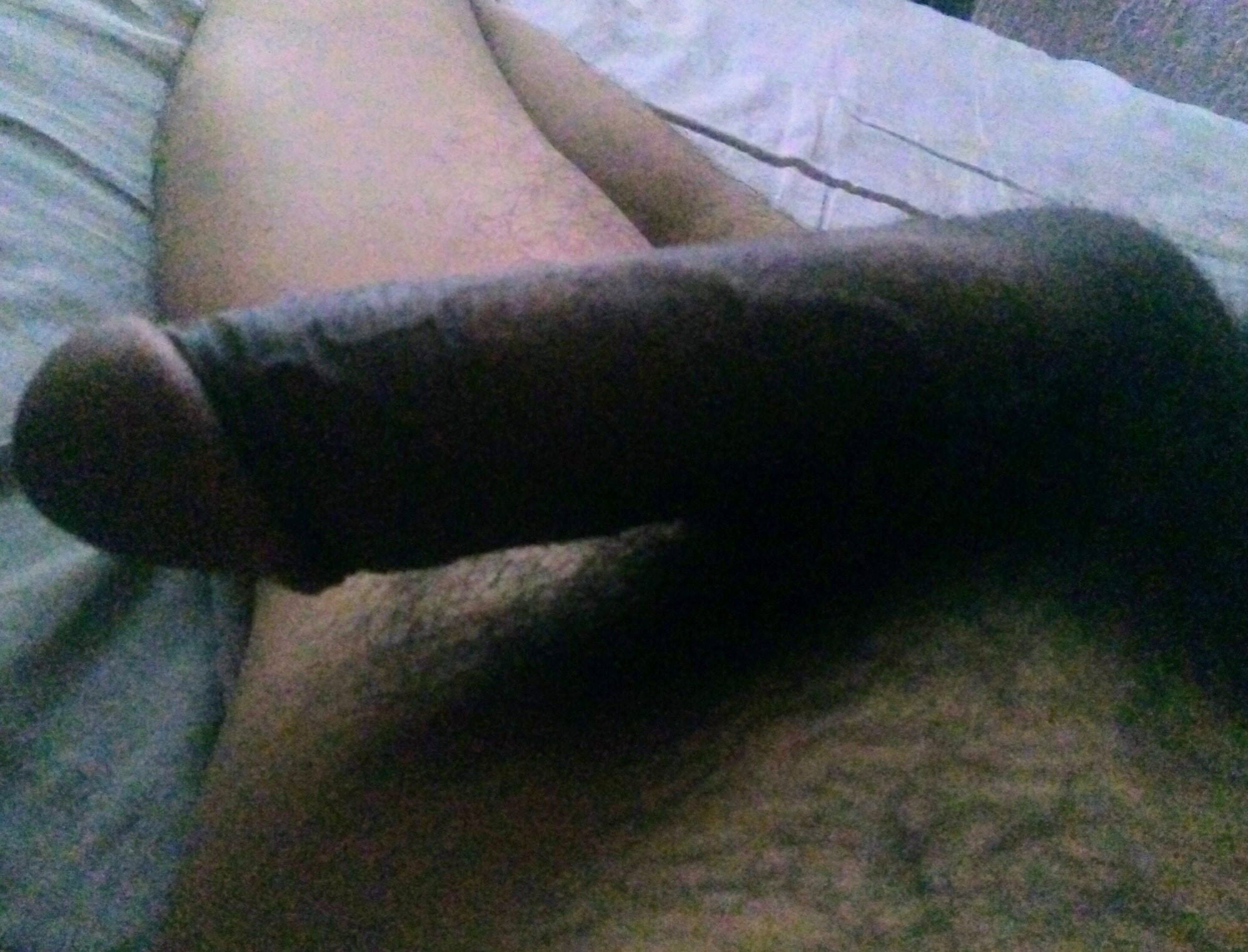 Pene #2