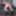 FEMOUT.XXX: Angel Faced Alexa #4
