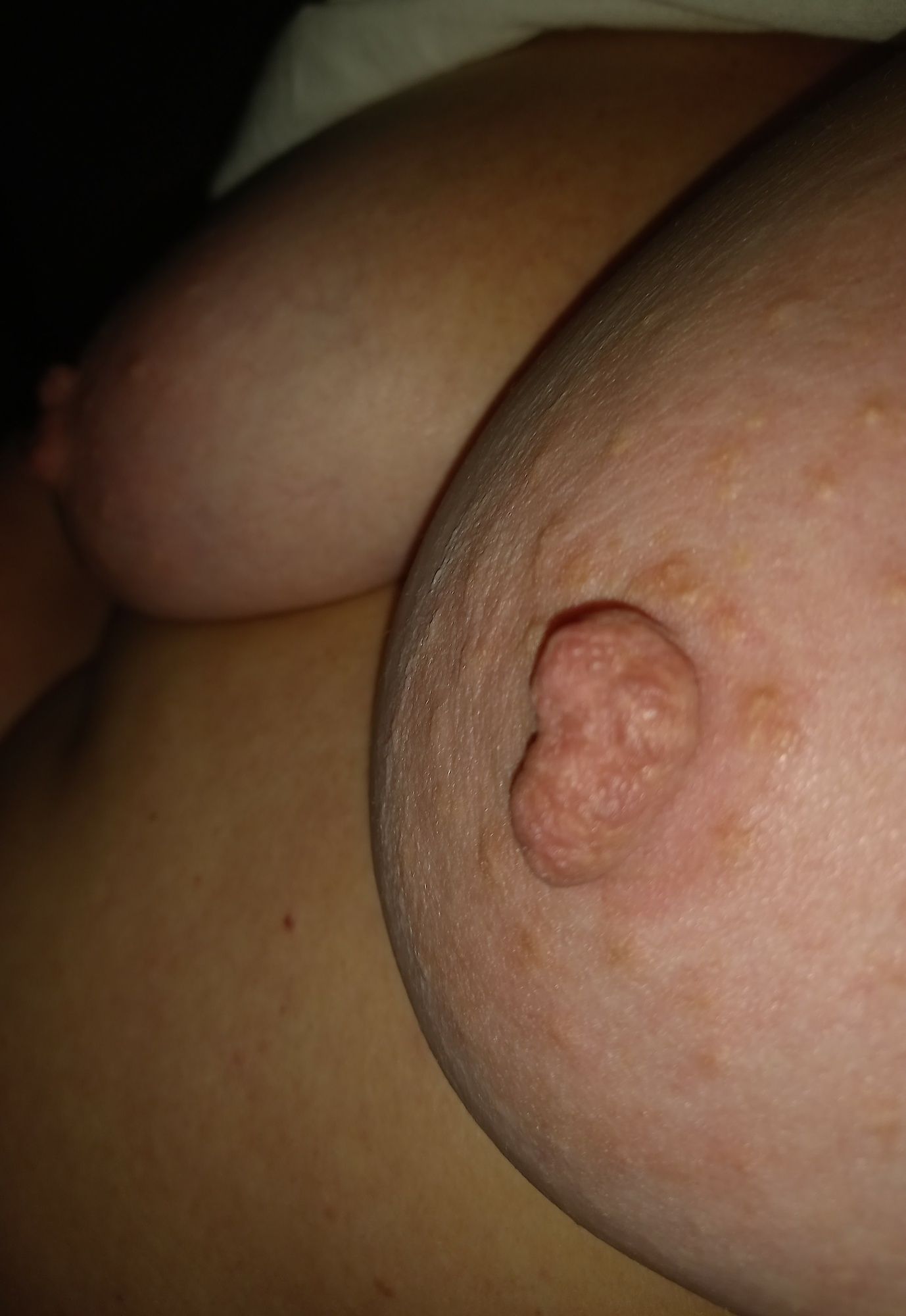 How about my old boobs...?