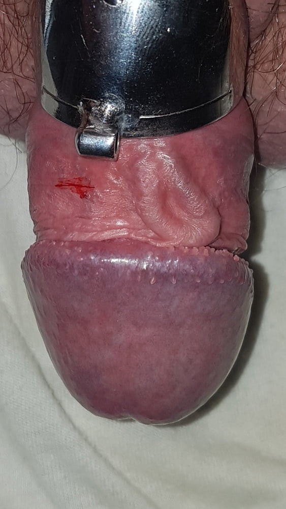 Chastity cage #7