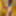 Young gay sex naked
