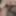 Sneak peek #5