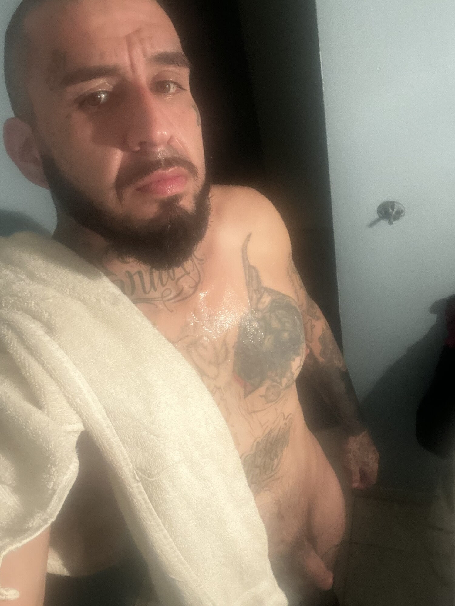 Cock #2