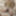 Petticoat masturbation