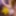 New content is coming... I&#039;m really hot for you