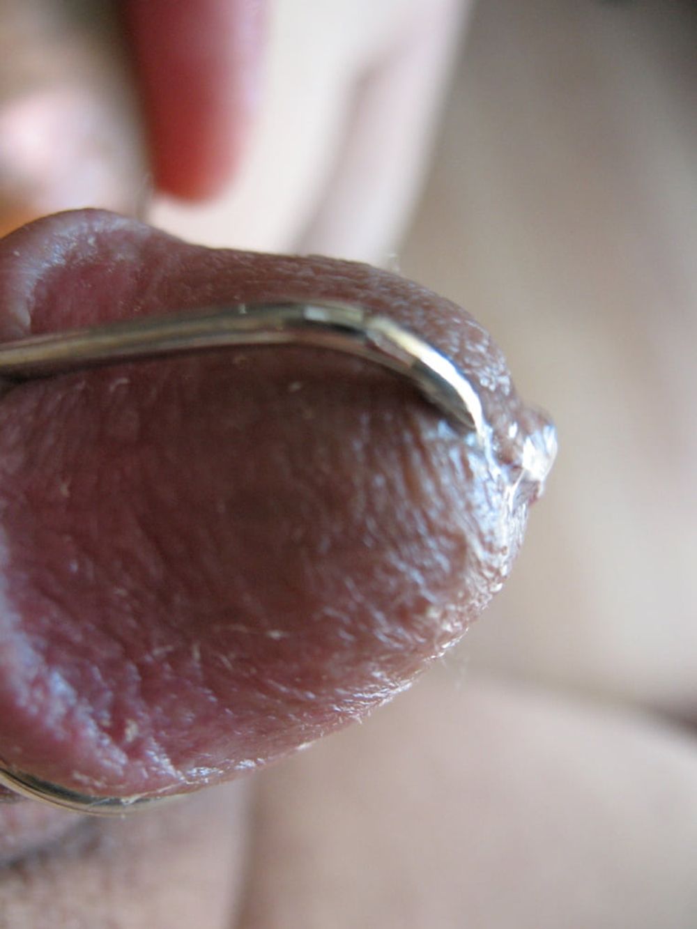 More steel in my cock with glans ring #21