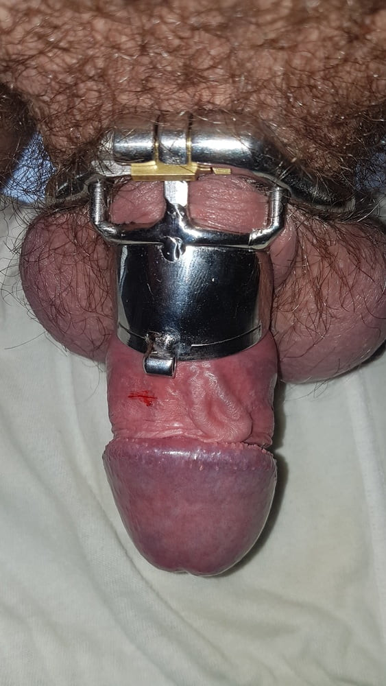 Chastity cage #6