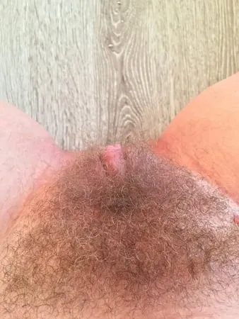 hairy pussy meine behaarte fotze         