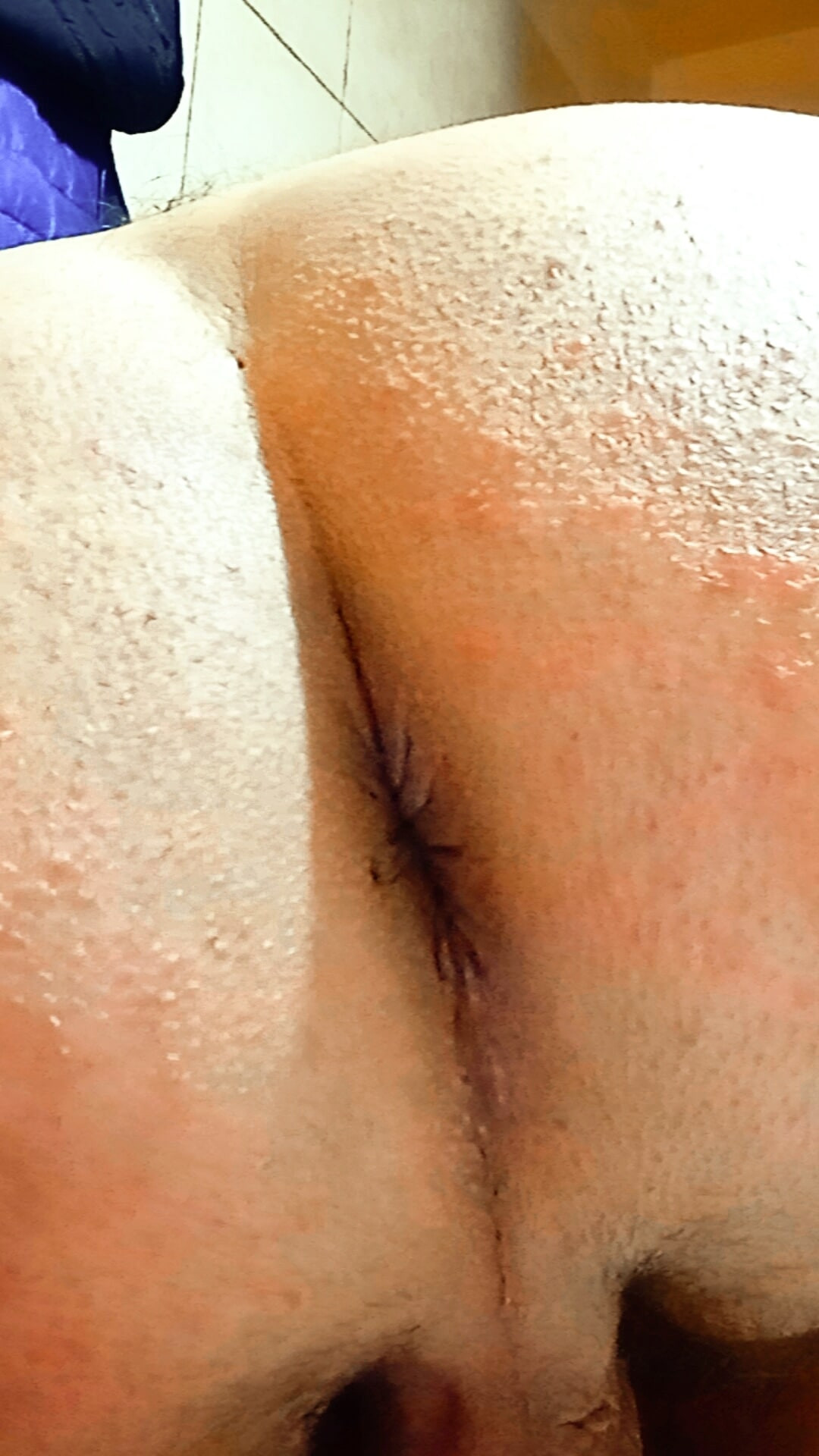 🔥Willy Alexandru Petre - You Can Feel It