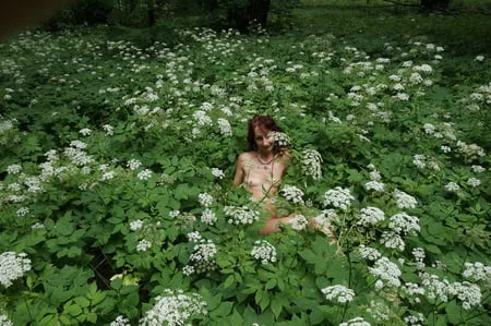 in white flowers           