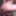 Super hot photoshoot during my anal sex videos #30