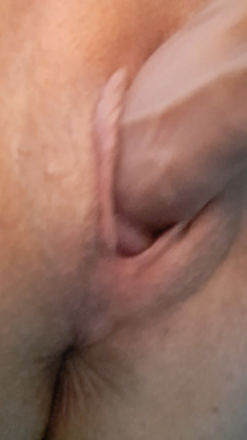 Wet pussy #12