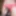 Londiq99 display huge cock 