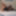 Timelapse photo from video Sissy Slut blogs and makes educat