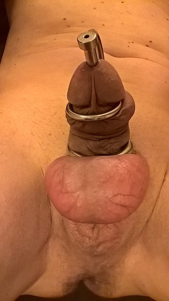 Penis cage Torture Cage 3 #8