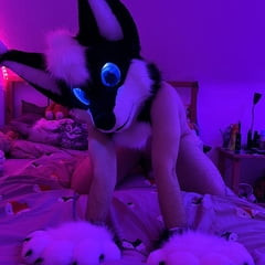 Fursuit-Rocky