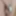 June 26, 2024 Daily duty of the naked slave #4