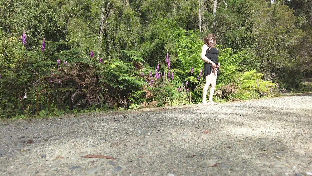 Crossdress Road Trip - Forest Road - Black Dress #8