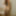 Sodomie (suite) #2