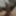 My Dick