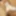 Annadevot: With the speculum dilated and then fisted #2