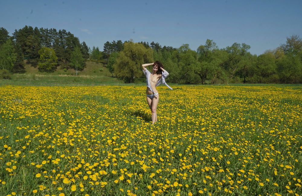 Yellow Meadow #38