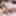 BOBS TGIRLS: Starlet Ravena Solstice #4